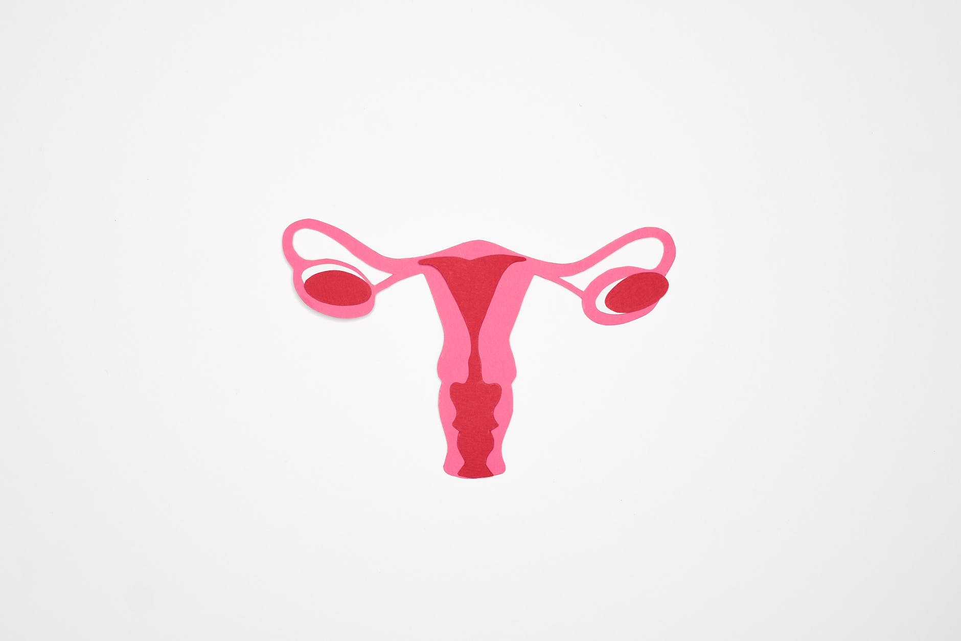 graphic art of a woman s ovary